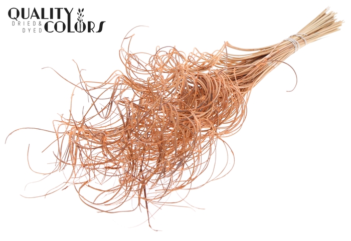 Palm Curly TT 3pc/tuft - 33 tuft/bunch Frosted Salmon