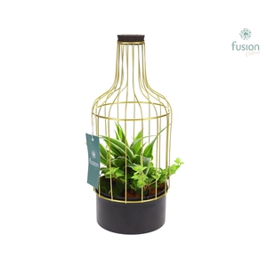 Metalen fles goud klein FC22.0997