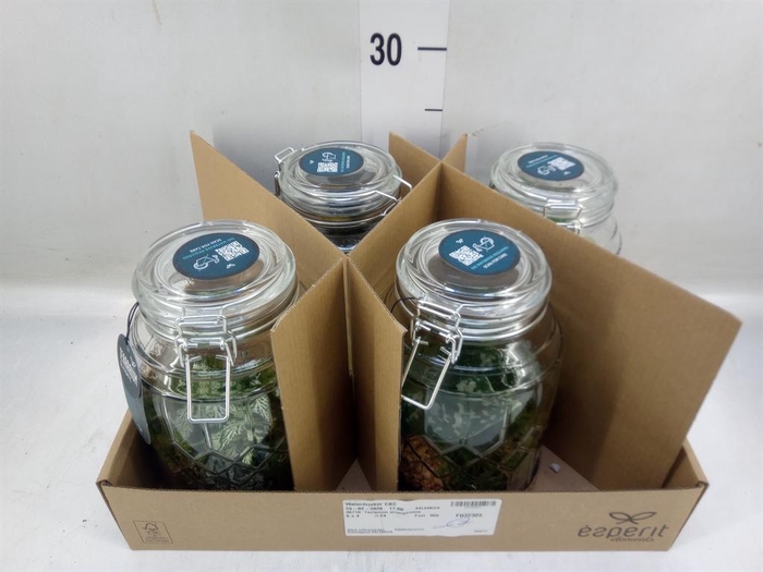 <h4>Arr. Planten L%</h4>