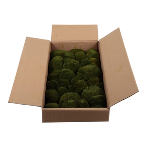 Bolmos Gepreserveerd Bulk Ca. 0.8-1.0 M2