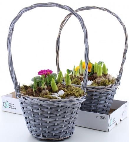 <h4>ARR PL IN SCHAAL</h4>