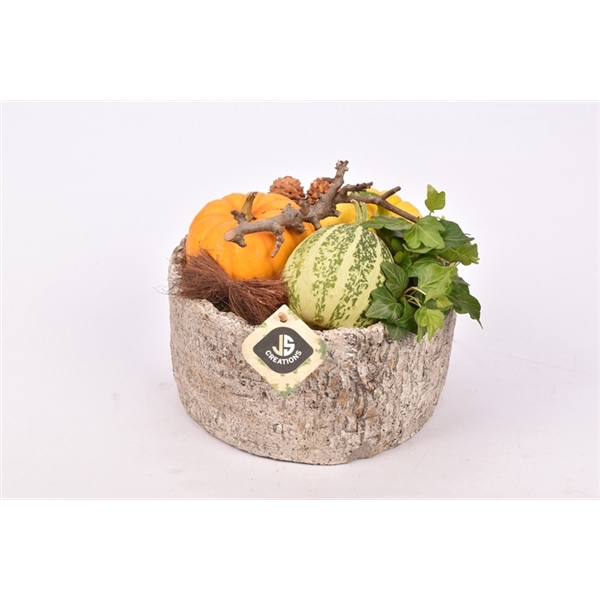 <h4>Arrangementen Sierfruit</h4>