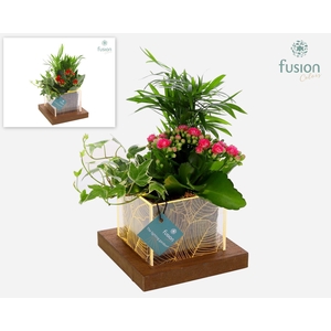 Acryl LED bakje met arrangement