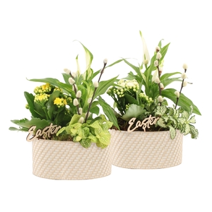 70800: Easter arrangement