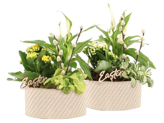 <h4>70800: Easter arrangement</h4>