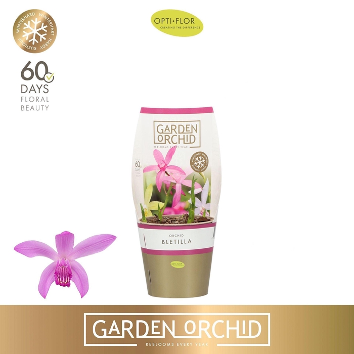 <h4>Bletilla overig</h4>