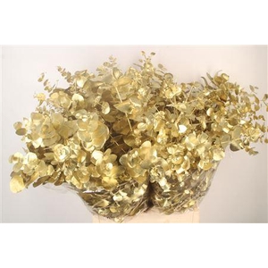 Euca Cin V Gold 400 Gram