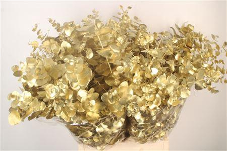 <h4>Euca Cin V Gold 400 Gram</h4>