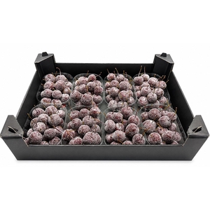 Waxmalus Gl Rood Wijn