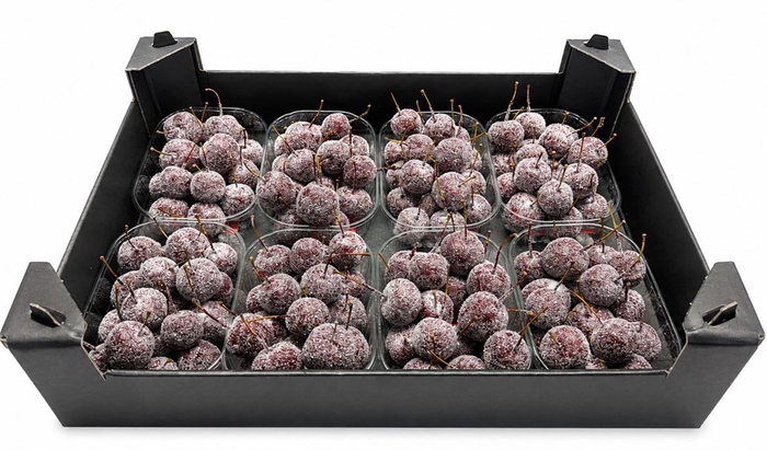 <h4>Waxmalus Gl Rood Wijn</h4>