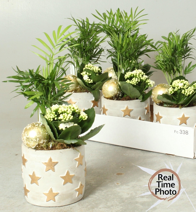 <h4>Arr Kamerpl</h4>