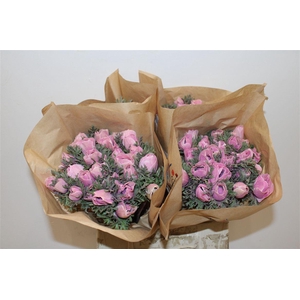 Anem Marianne Powder Pink