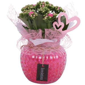 Mothersday Arr. Indoor Glass Round Relief Ø15cm 1PP