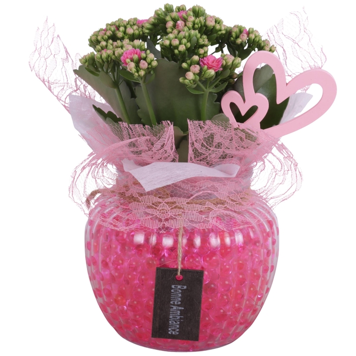 <h4>Mothersday Arr. Indoor Glass Round Relief Ø15cm 1PP</h4>