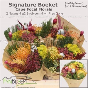 Kaaps Groe Gem In Bs