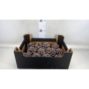 Decoratieve materialen   ...H%