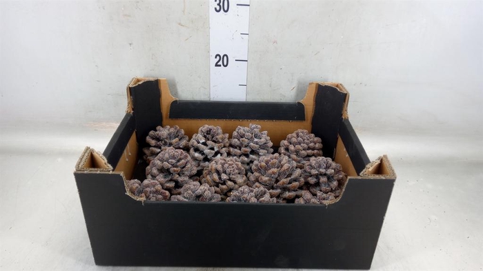 <h4>Decoratieve materialen   ...H%</h4>