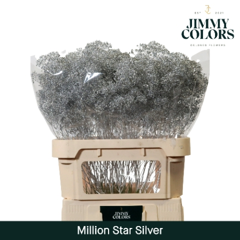 <h4>Gyps Million Star L80 Metallic silver</h4>