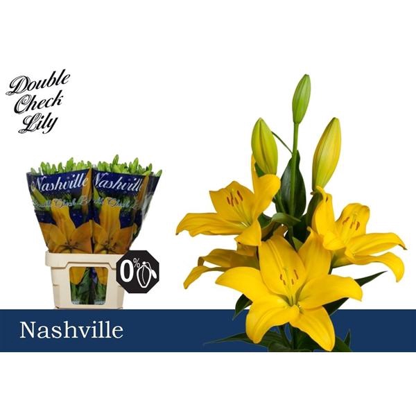 <h4>Li La Nashville 4+</h4>