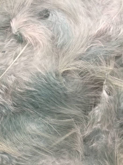 PLUIM MARABOU 40GR OLDGREEN