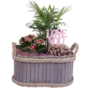 Mothersday Arr. Indoor Wooden Pot Waterhyacinth Rim Ø29cm 3PP