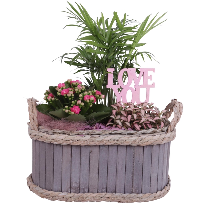 <h4>Mothersday Arr. Indoor Wooden Pot Waterhyacinth Rim Ø29cm 3PP</h4>