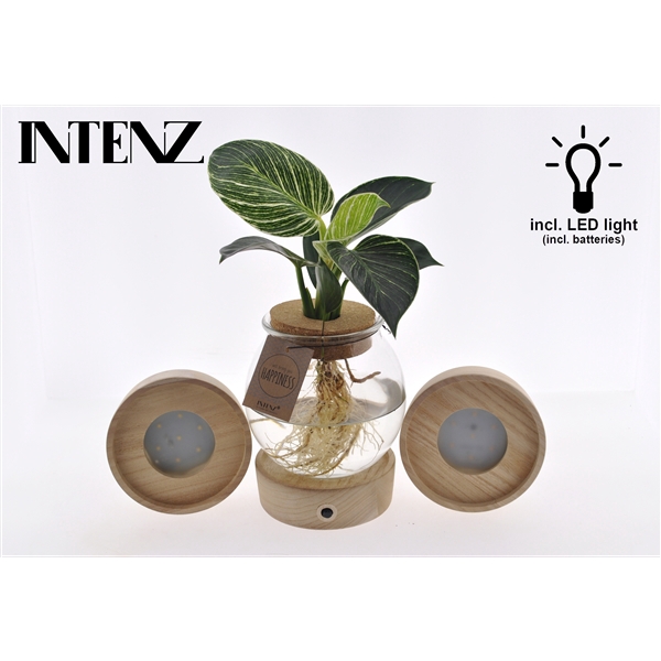 <h4>White Wave in Bolglas + Klikkurk + LED - levertijd: 24 uur</h4>