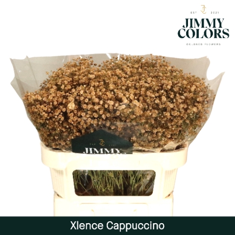 <h4>Gyps Xlence l70 Cappuccino</h4>