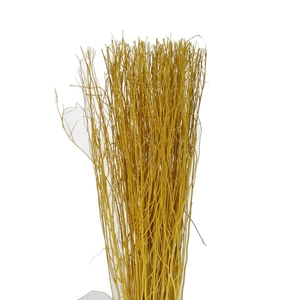 Dried articles Yanagi branch 250g