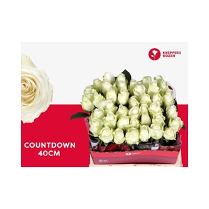 R GR COUNTDOWN!