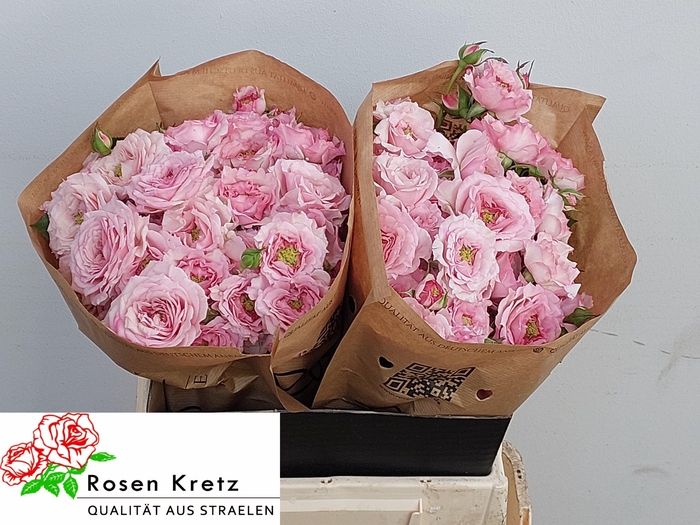 <h4>R TR RESIDENCE!</h4>