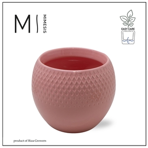 Karma - SOLO POTS - Lisa Pink 12 cm |