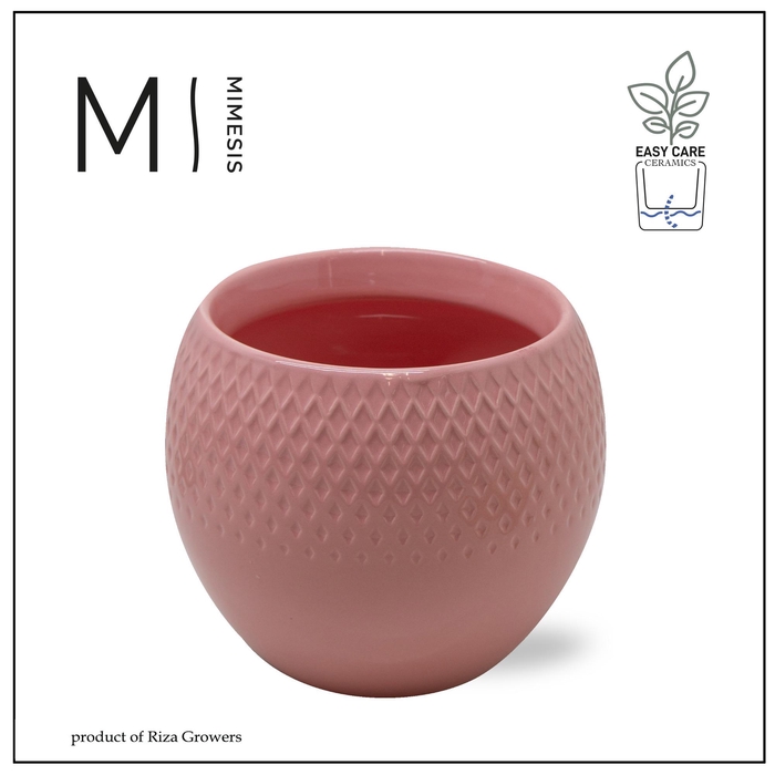 <h4>Karma - SOLO POTS - Lisa Pink 12 cm |</h4>
