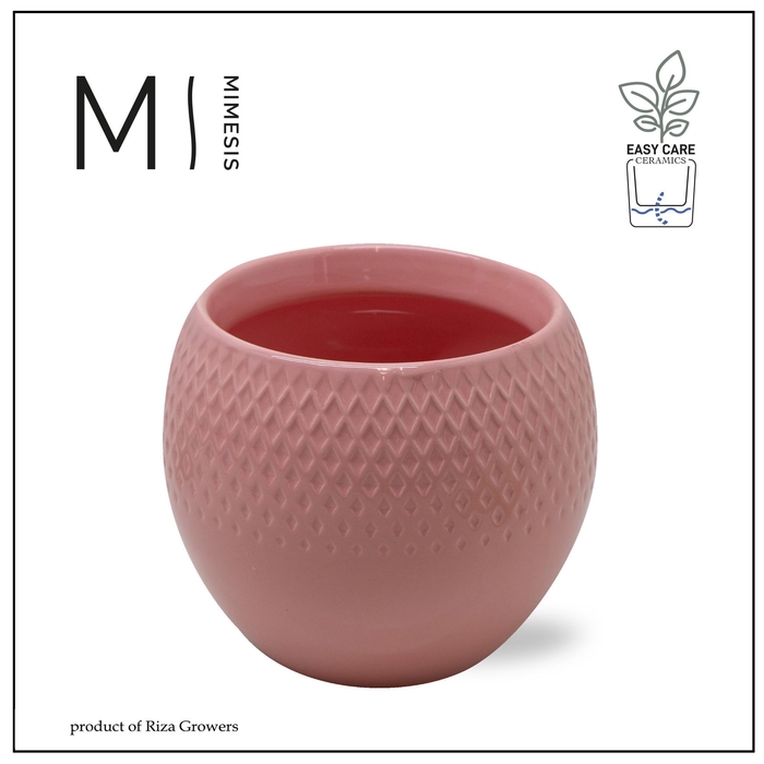 <h4>Karma - SOLO POTS - Lisa Pink 12 cm |</h4>