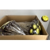 E .EGGS +NEST SALIM  10 CM OP STOK