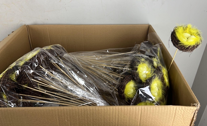 <h4>Stick Nest Salim + Eggs Quail</h4>