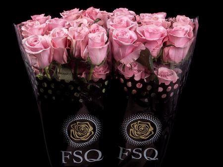 <h4>R Gr Think Pink</h4>