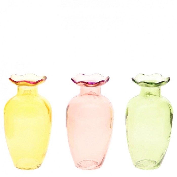 <h4>Glas Vaas Blossie d07.5*14cm</h4>