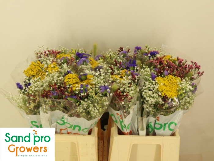 <h4>GEM ZOMERBOEKET</h4>