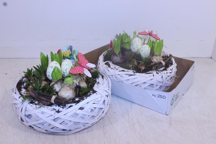 <h4>ARR BOL KNOLGEWAS</h4>