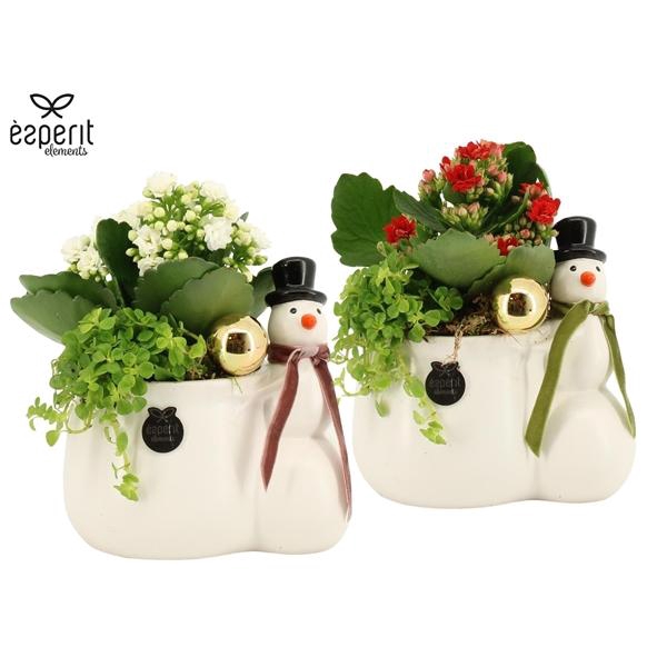 <h4>Arrangementen Kerst 6%</h4>