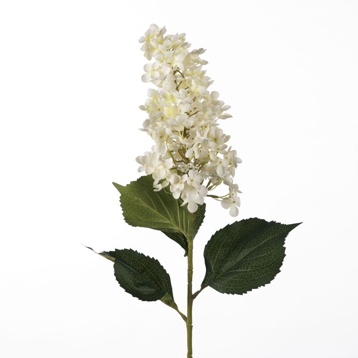 <h4>AF Hydrangea L98cm White</h4>