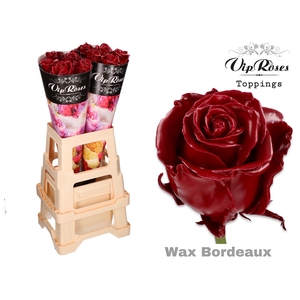 R GR WAX BORDEAUX x30 998