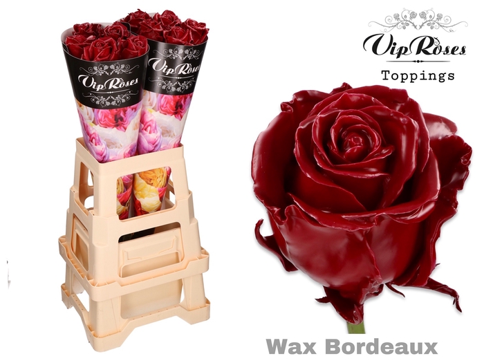 <h4>R GR WAX BORDEAUX x30 998</h4>