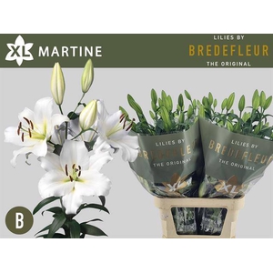 LI OT MARTINE