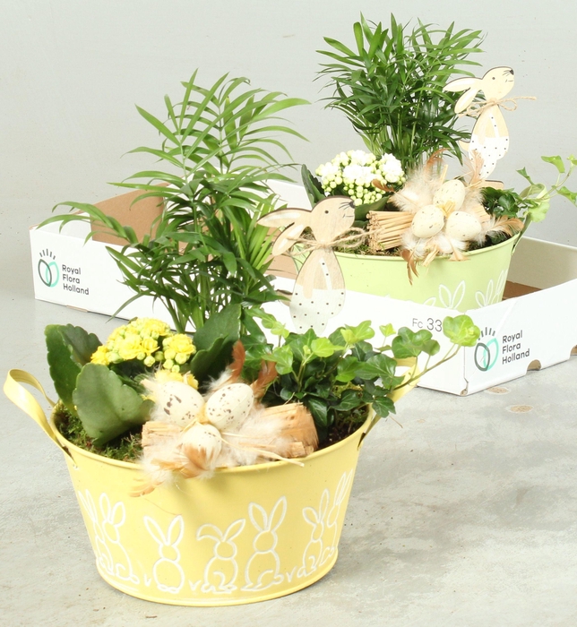 <h4>ARR KAMERPL</h4>