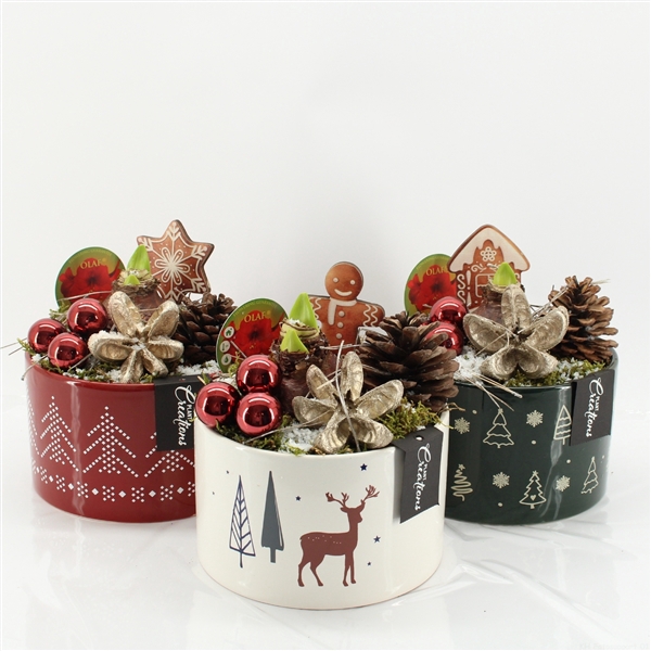 <h4>Arrangementen Hippeastrum H%</h4>
