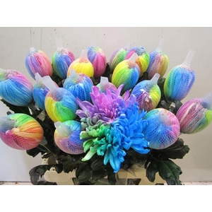 Chr G Antonov Rainbow