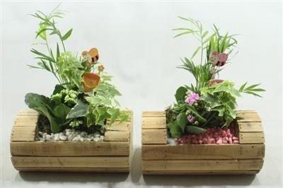 <h4>6149 BOOMSTAM INDOOR</h4>