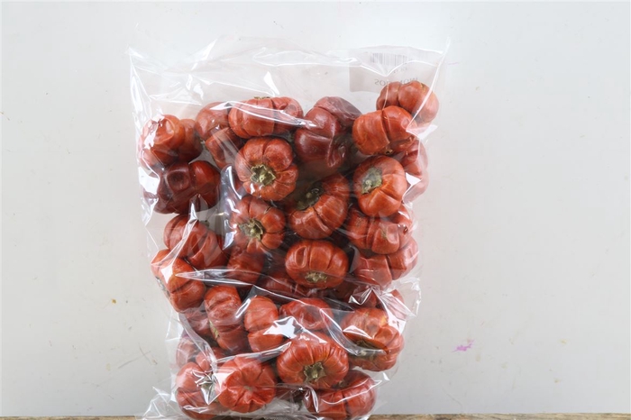 <h4>Deco Fruit Solanum 250gr</h4>